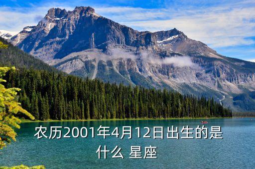  农历2001年4月12日出生的是什么 星座
