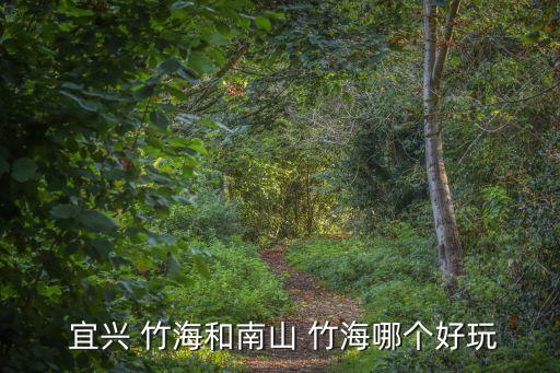  宜兴 竹海和南山 竹海哪个好玩