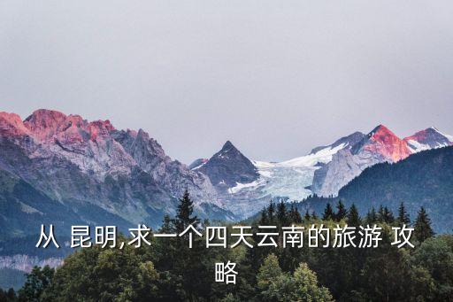从 昆明,求一个四天云南的旅游 攻略