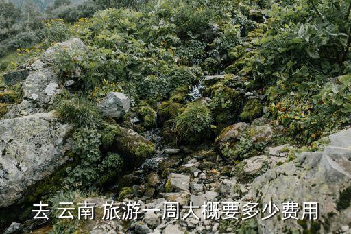 去 云南 旅游一周大概要多少费用