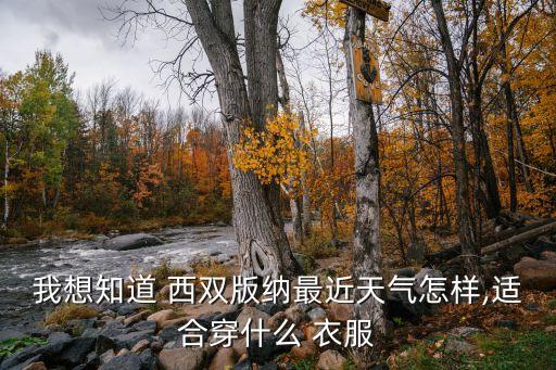 我想知道 西双版纳最近天气怎样,适合穿什么 衣服