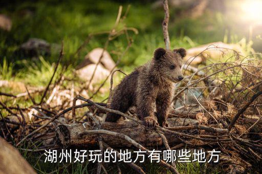  湖州好玩的地方有哪些地方