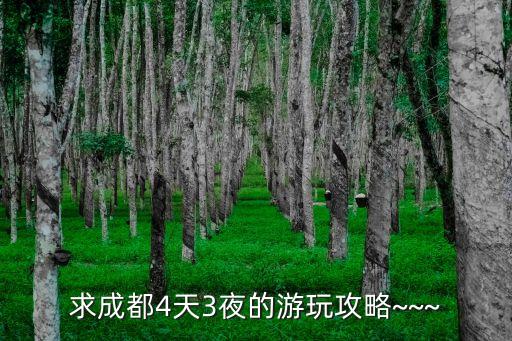 求成都4天3夜的游玩攻略~~~