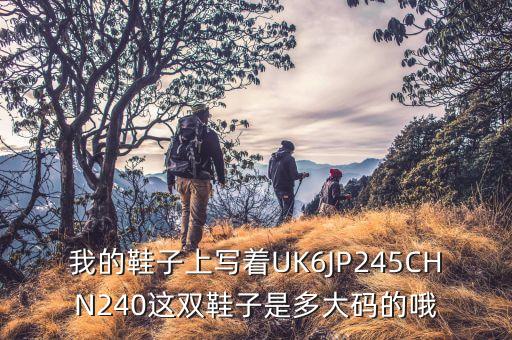 运动鞋上的jp是什么意思,梦见穿白色运动鞋是什么意思