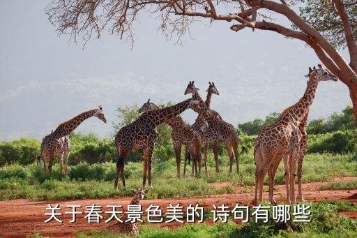 关于春天景色美的 诗句有哪些