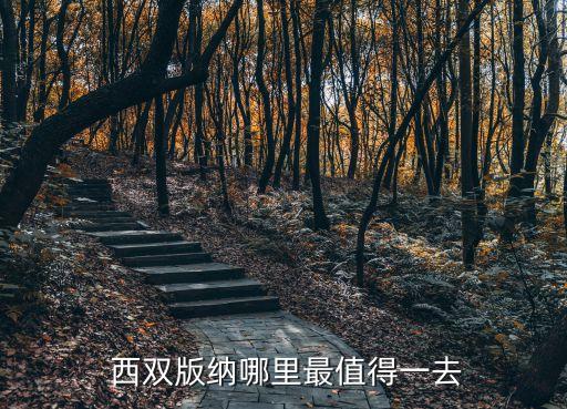  西双版纳哪里最值得一去
