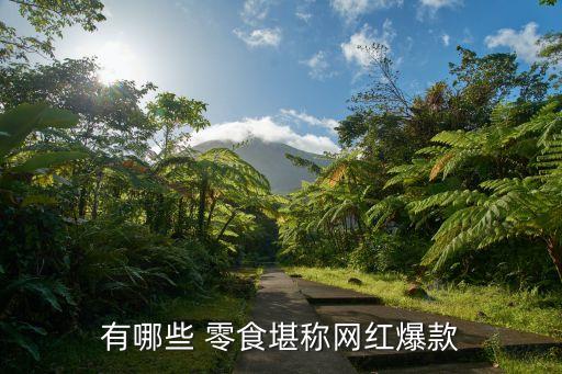 有哪些 零食堪称网红爆款