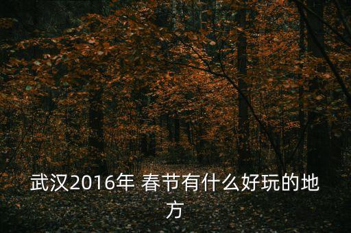 武汉2016年 春节有什么好玩的地方
