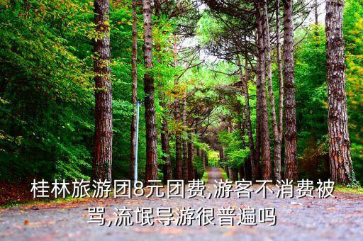  桂林旅游团8元团费,游客不消费被骂,流氓导游很普遍吗