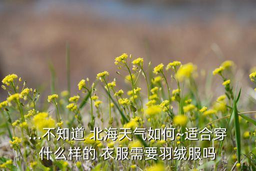 ...不知道 北海天气如何~适合穿什么样的 衣服需要羽绒服吗