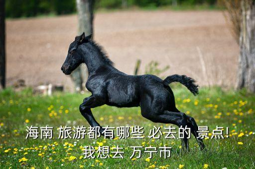 海南 旅游都有哪些 必去的 景点!我想去 万宁市