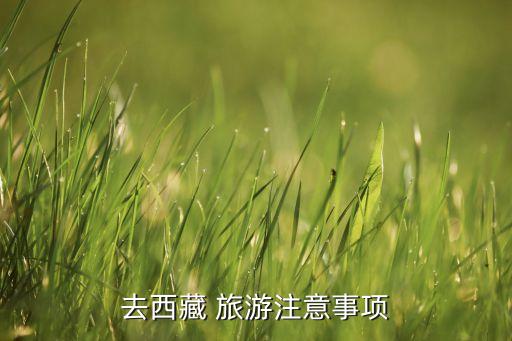 去西藏 旅游注意事项