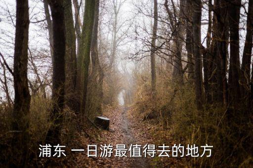 浦东 一日游最值得去的地方