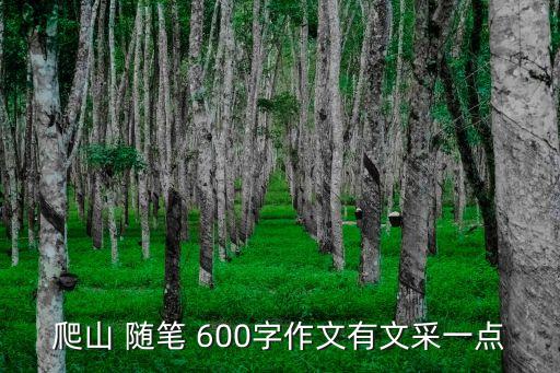 爬山 随笔 600字作文有文采一点