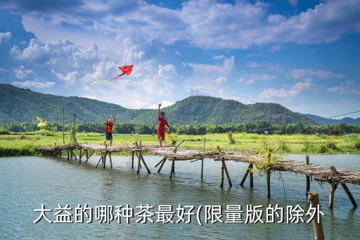 大益的哪种茶最好(限量版的除外