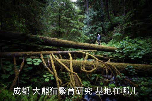 成都 大熊猫繁育研究 基地在哪儿