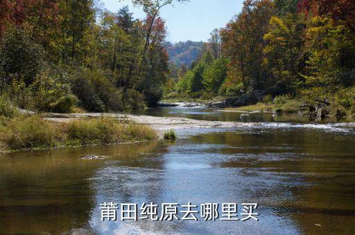  莆田纯原去哪里买
