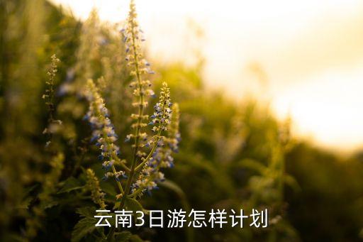 云南3日游怎样计划