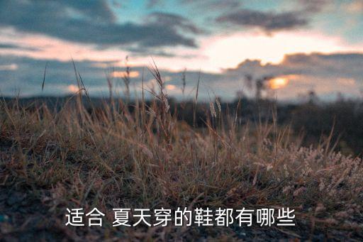 适合 夏天穿的鞋都有哪些