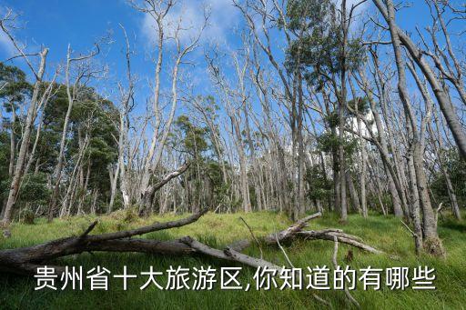  贵州省十大旅游区,你知道的有哪些