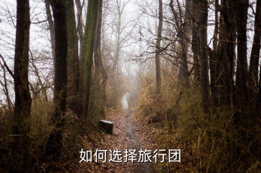 如何选择旅行团