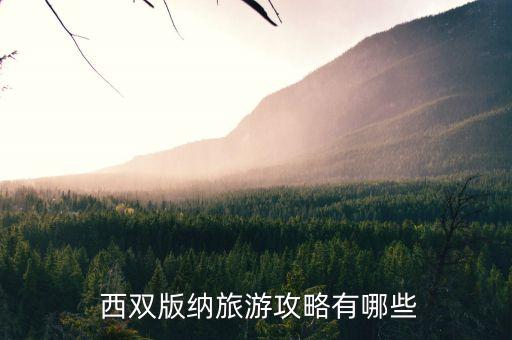  西双版纳旅游攻略有哪些