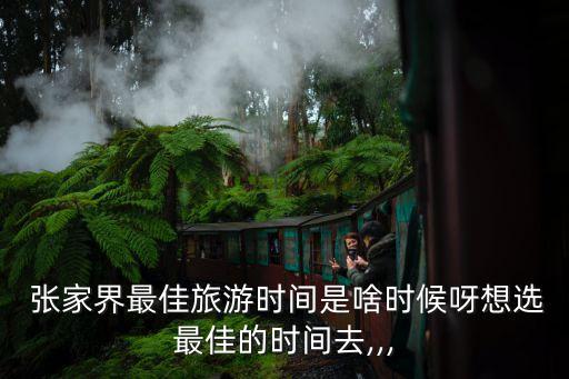  张家界最佳旅游时间是啥时候呀想选最佳的时间去,,,