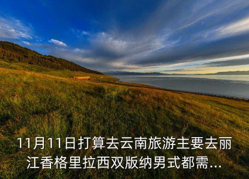 11月11日打算去云南旅游主要去丽江香格里拉西双版纳男式都需...