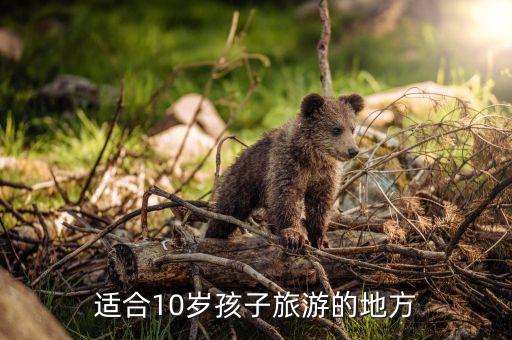 适合10岁孩子旅游的地方