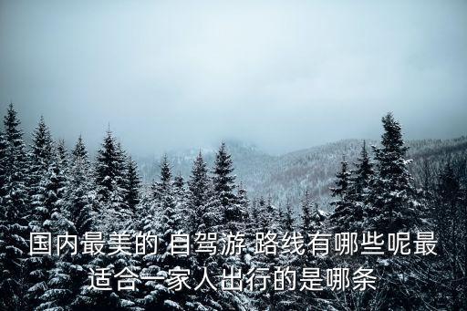国内最美的 自驾游 路线有哪些呢最适合一家人出行的是哪条