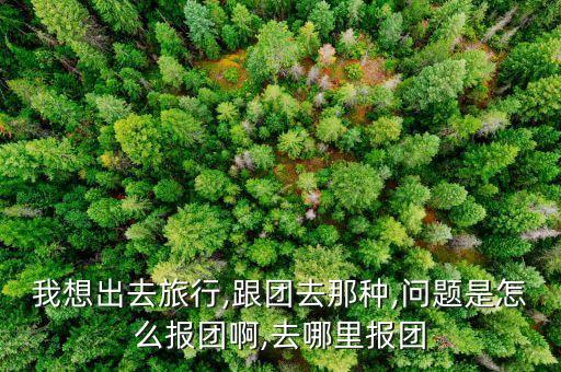 我想出去旅行,跟团去那种,问题是怎么报团啊,去哪里报团