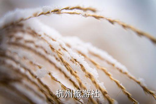 杭州旅游社