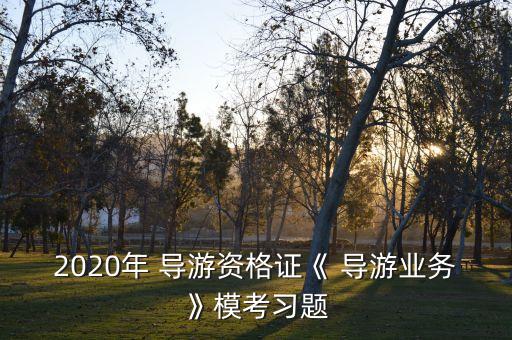 2020年 导游资格证《 导游业务》模考习题