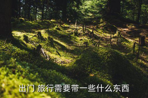 出门 旅行需要带一些什么东西