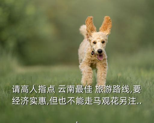 请高人指点 云南最佳 旅游路线,要经济实惠,但也不能走马观花另注...