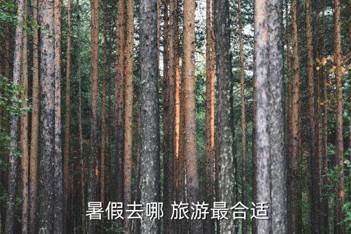 暑假旅游最好的地方是哪里,中国旅游最好的地方是哪里