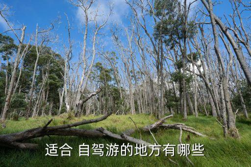 适合 自驾游的地方有哪些