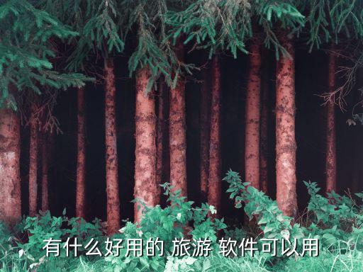 旅游查攻略哪个软件比较好,外地旅游下载哪个软件查好吃的
