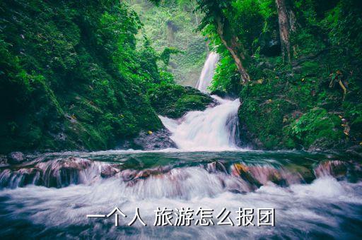 一个人 旅游怎么报团