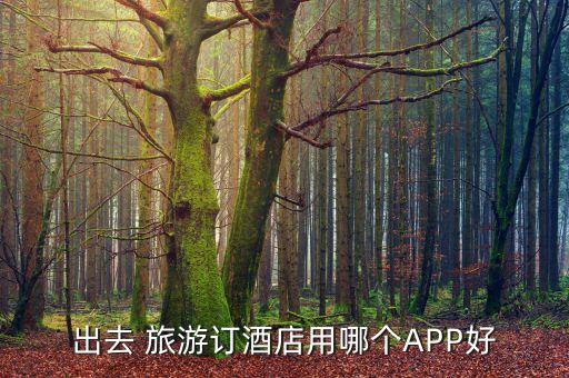 出去 旅游订酒店用哪个APP好