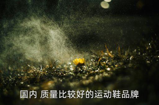 什么品牌的鞋子质量好,雪地靴什么品牌的鞋子质量好