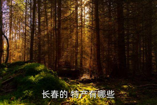 长春的 特产有哪些