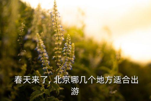  春天来了, 北京哪几个地方适合出游