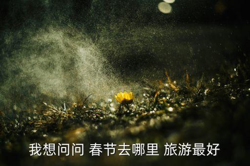 我想问问 春节去哪里 旅游最好