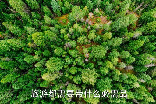 旅游必备清单(表),4岁宝宝旅游必备清单