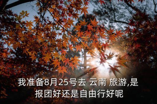 去云南旅游当地报团好吗,云南旅游自由行好还是报团好