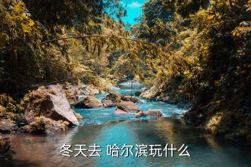 冬天去 哈尔滨玩什么