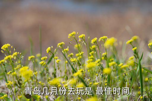  青岛几月份去玩是 最佳时间