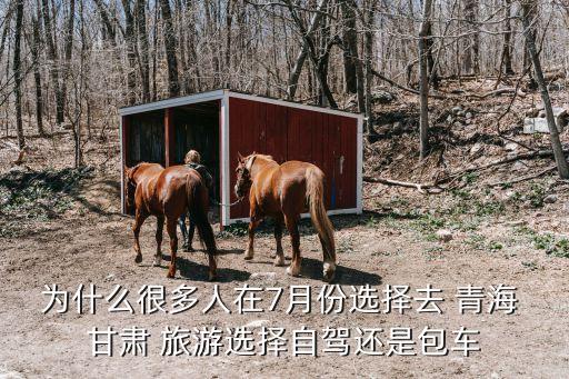 为什么很多人在7月份选择去 青海 甘肃 旅游选择自驾还是包车