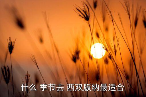 什么 季节去 西双版纳最适合